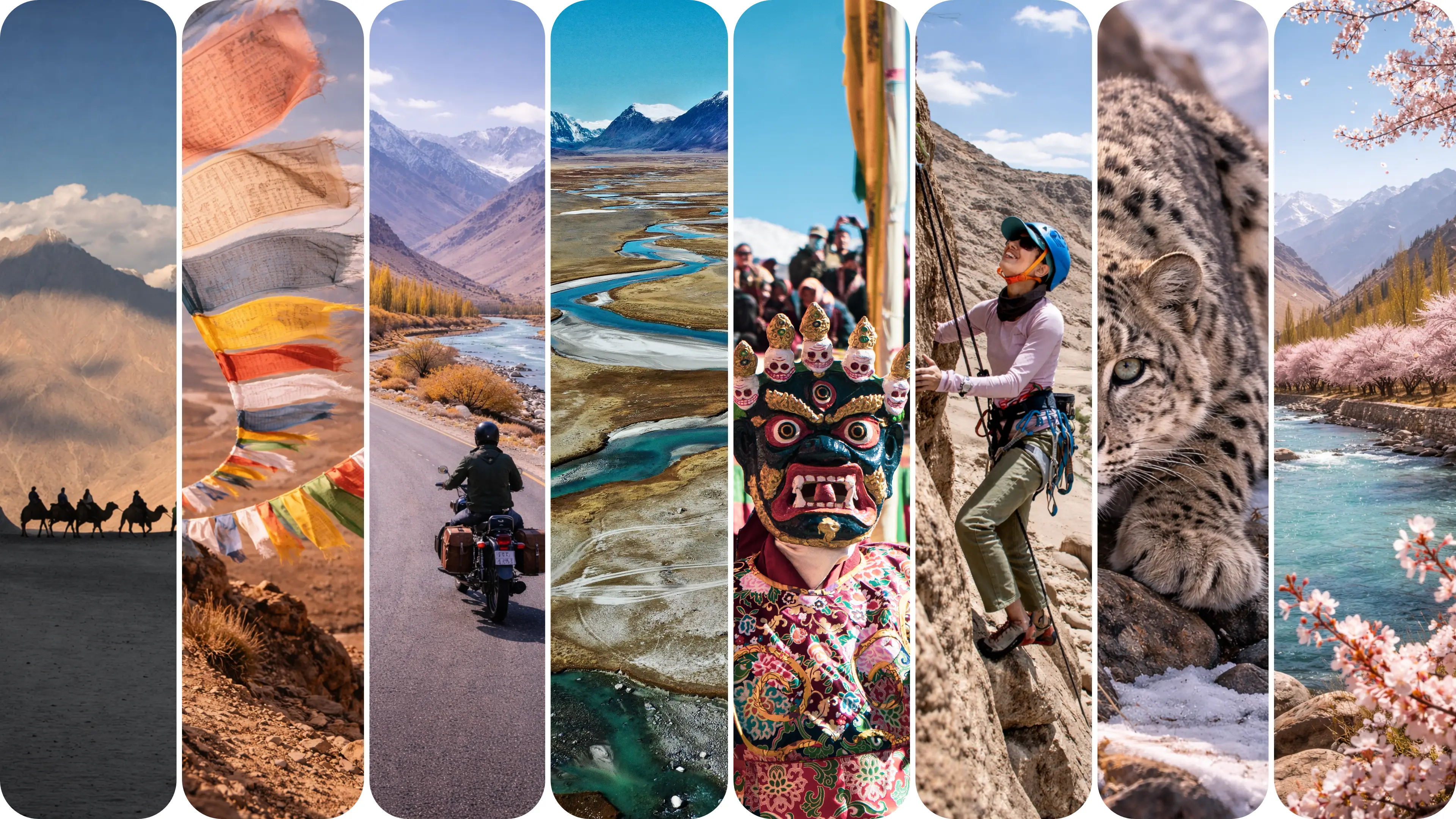 Ladakh stays
